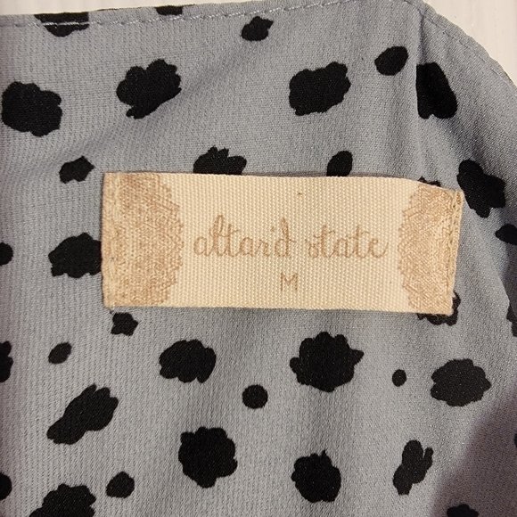 Altar'd State animal print dress - Picture 3 of 3